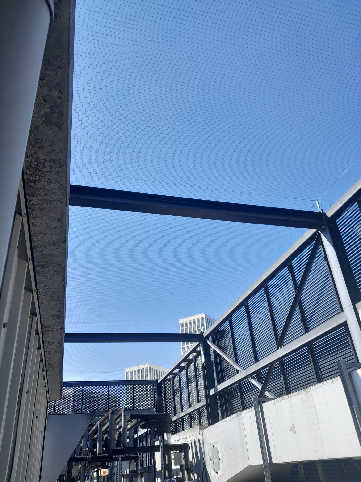 commercial bird netting